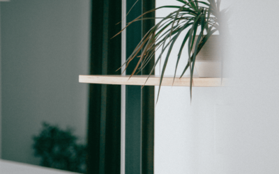 The Best Window Curtains